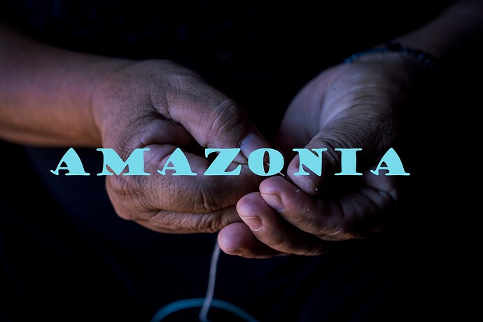 #Amazonia500j