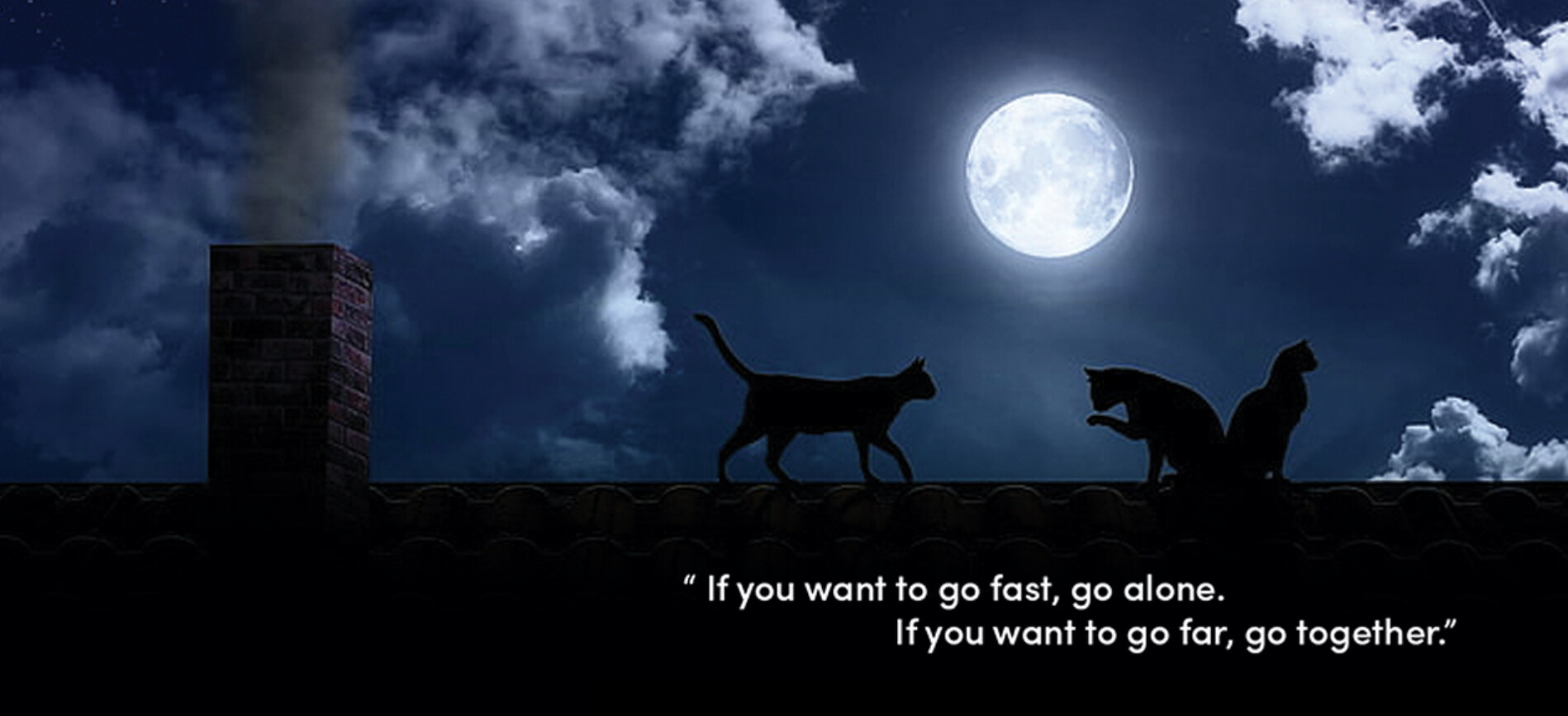 Луна песни дорога. Луна на крыше. Кошка гуляет ночью. Женщина и кошка гуляют в ночи. Кошка гуляет по лунной дорожке.